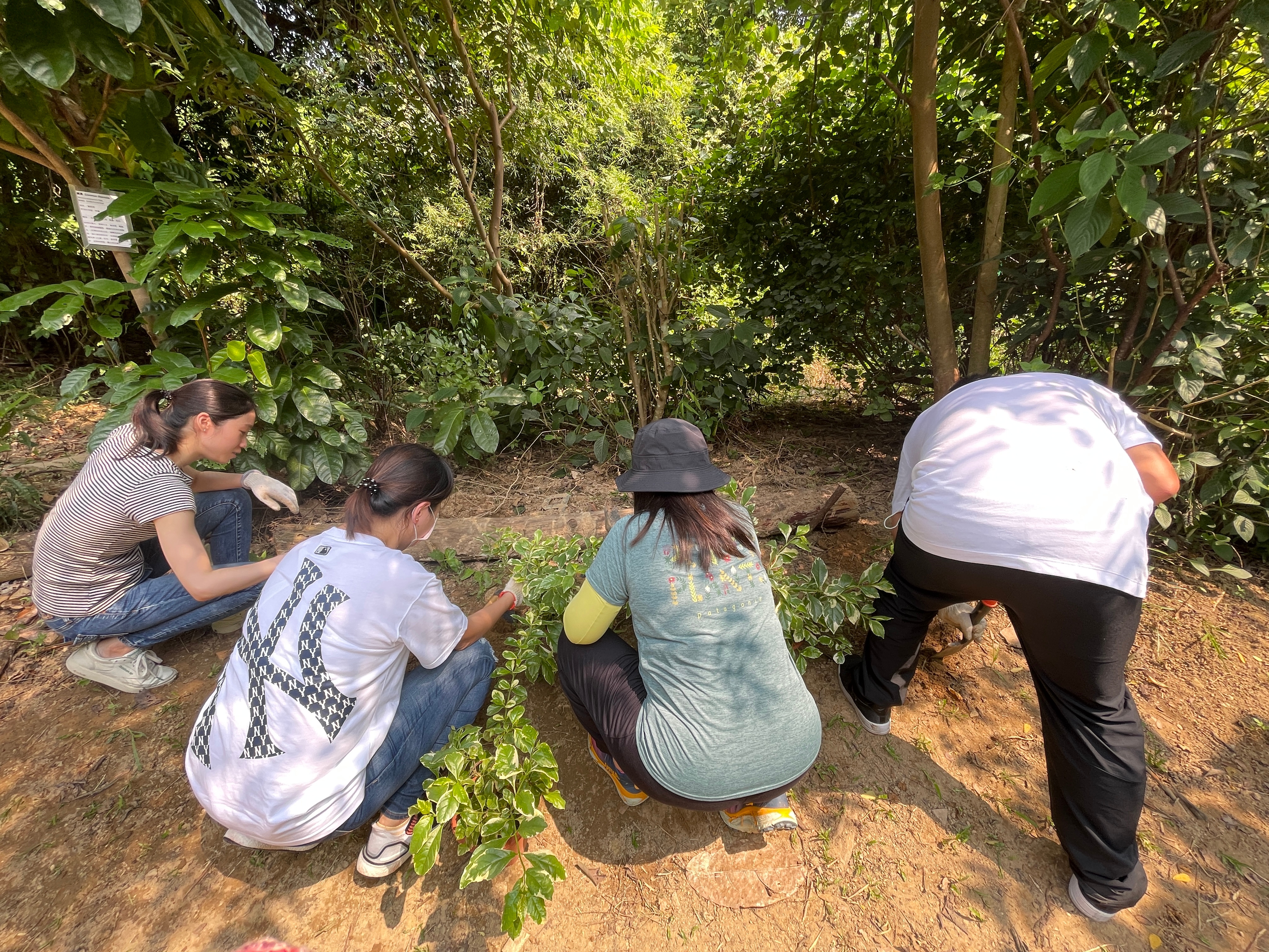 Tree Planting_2