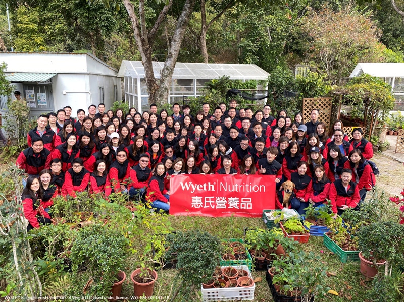 group in garden