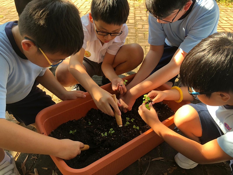 kids with plants