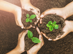 iStock-666860208-CSV-800