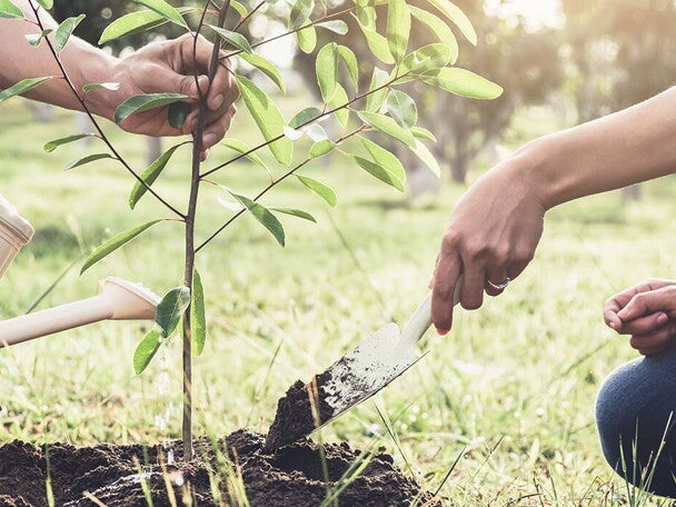 為生態保育出一分力