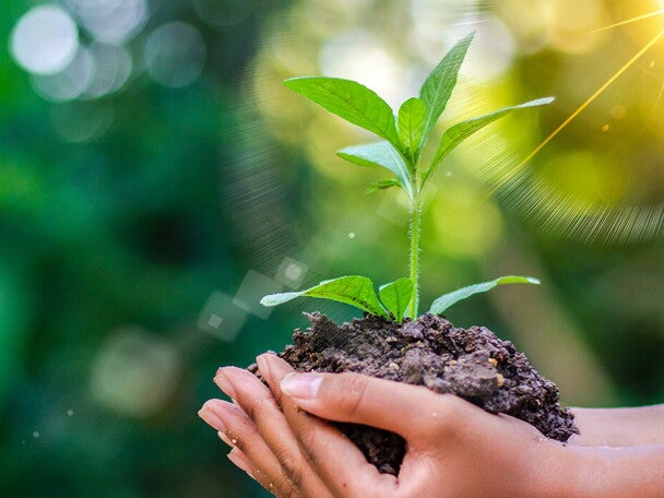 支持建設可持續的未來